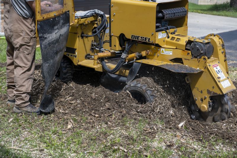 Stump Grinding Service