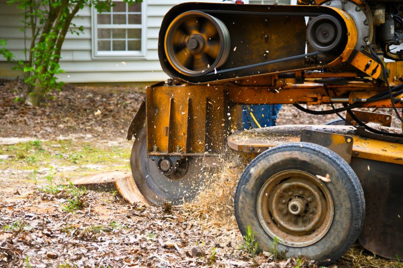 Inside a Stump Grinder