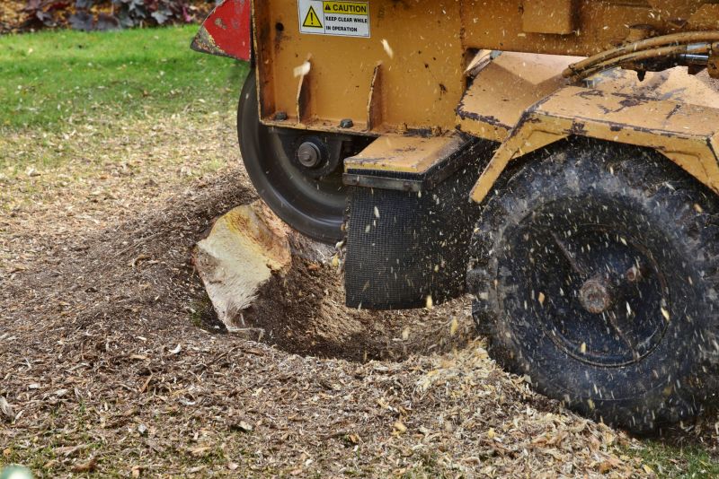 Stump Removal in Tight Spaces
