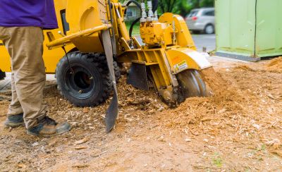 Stump Grinding Operation