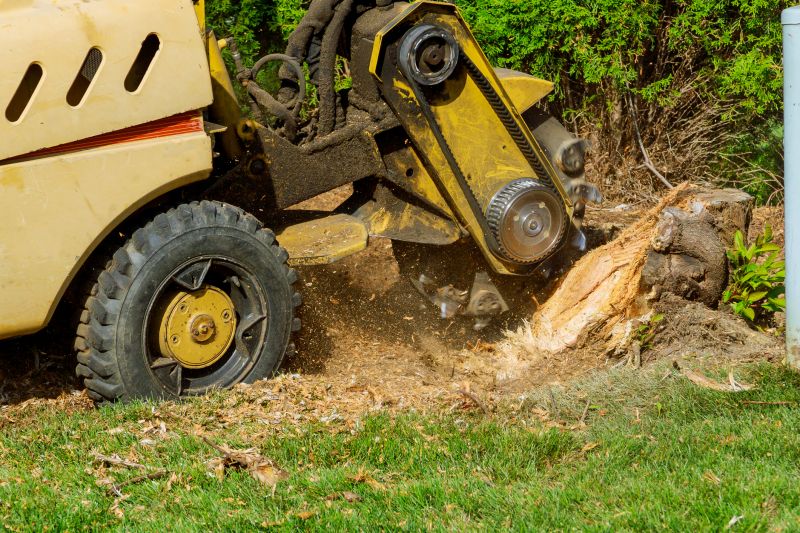 Stump Grinding Machinery
