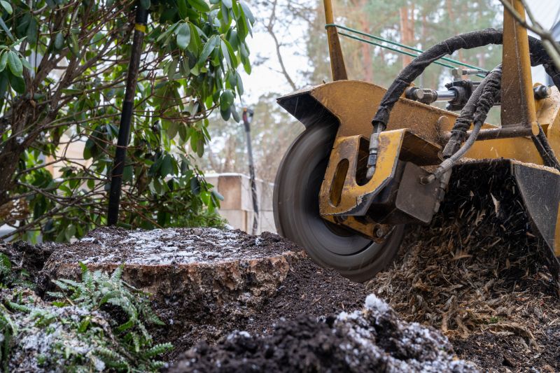Stump Grinding Service