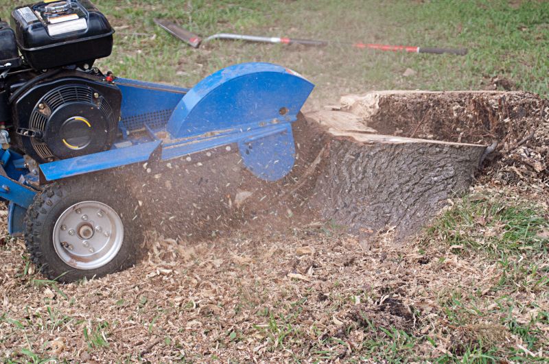 Stump Removal Equipment
