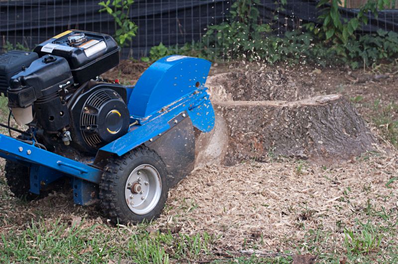 Stump Grinding Service