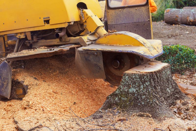 Tree Stump Removal in Prince Georges County, MD