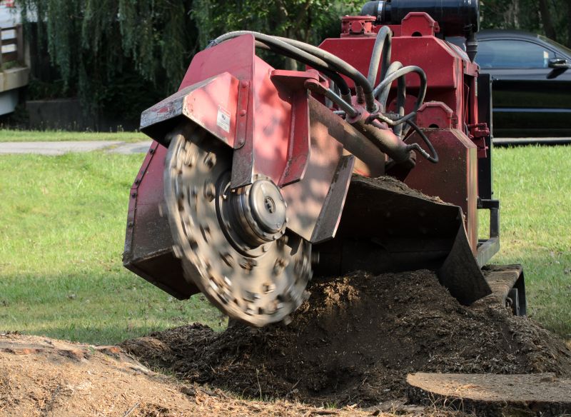 Contact About Stump Grinding Service