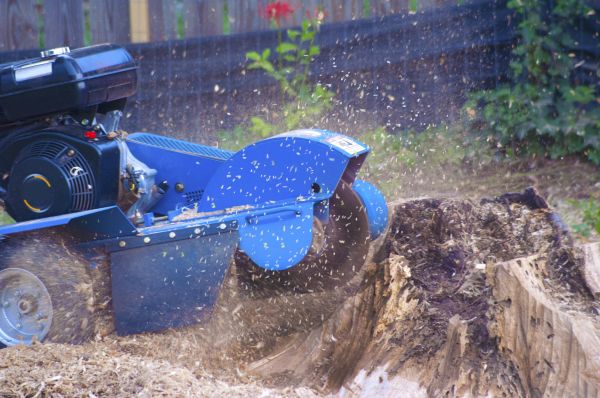 Root Obstruction Clearance